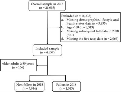 The Value of Cognitive and Physical Function Tests in Predicting Falls in Older Adults: A Prospective Study